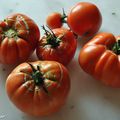 Tomates du jardin à la provençale