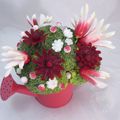 Bouquet radis et betterave