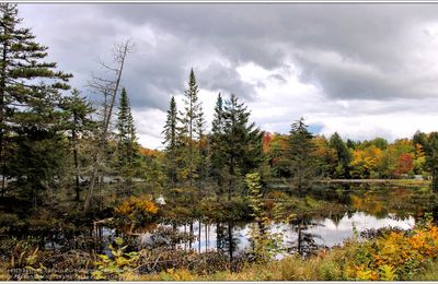 Promenade au parc national