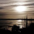 Les Marais du Cotentin et du Bessin - Le Plain - Commune de Liesville sur Douve