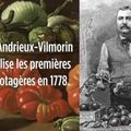 La tomate. Non alimentaire.  En 1751. 