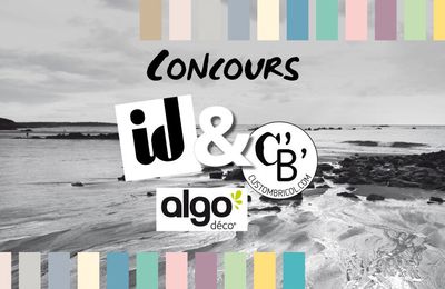 Jeu concours fusion à « 3 » ID Paris – Algo Déco & Custom’ Bricol’