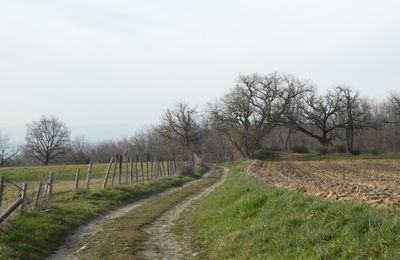 SUR LES HAUTEURS DU VILLAGE DES COTES D'AREY...