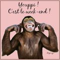 Bon Week-end