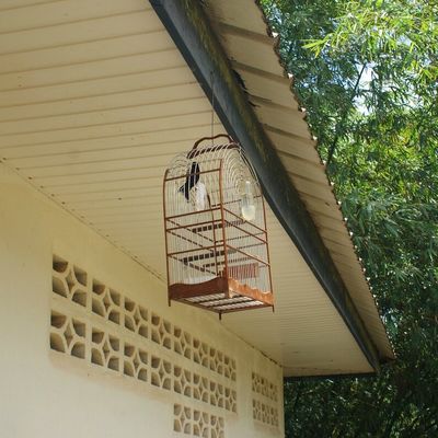 Le marché de CACAO le dimanche 10 mars