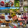 Les Vins du Roussillon