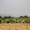 Une décade marocaine