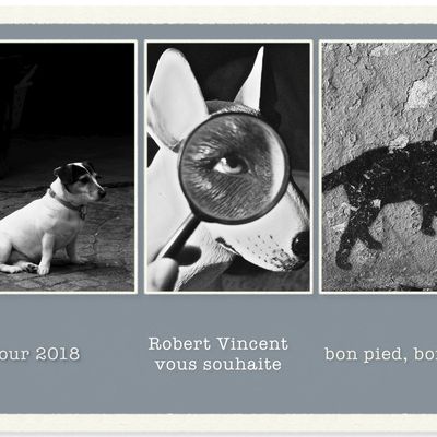 Une variante de la carte de vœux 2018, plus en bonus : un conte fabuleux!