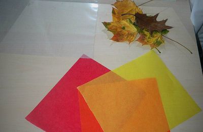 Feuilles multicolores