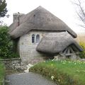 DEVON, #3