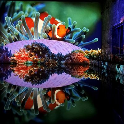 Bassins des Lumières à Bordeaux