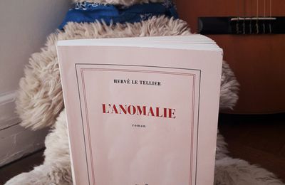 # 357 L'Anomalie, Hervé Le Tellier