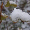 C'est la tempête dans ton cœur qui te fait peur. Ce n'est pas la tempête du dehors. 