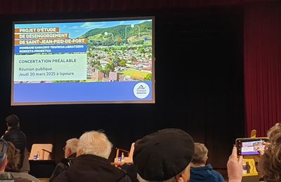 Réunion publique sur l'étude du désengorgement de St J.P.Port
