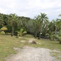 La piscine naturelle de Luengoni