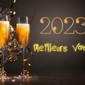 1er Janvier 2023 : Bonne année !