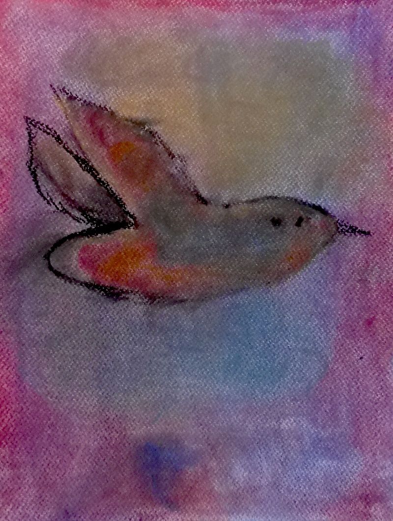 Oiseau3