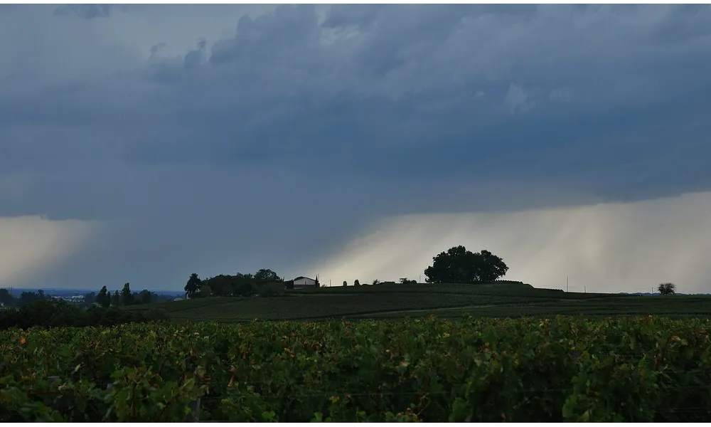 Vignoble de Saint-Emilion avant l'orage