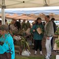 Troc aux plantes d'automne à Saint-Jean les Deux-Jumeaux