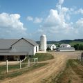 Amish county - USA - Amish farms