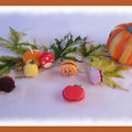 Macarons d'automne 2016