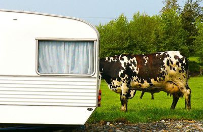 Cohabitation Normande