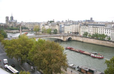 Soigner le mal par le mal : Paris pour quelques instants.