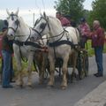 Selection Equipe Boulonnaise Route du Poisson 2008