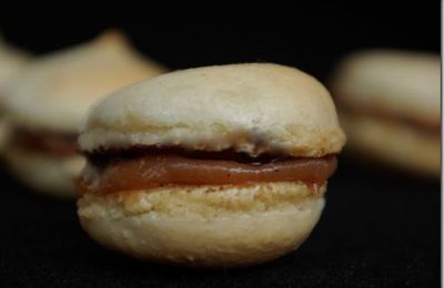 Macarons coings poires chocolat