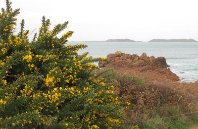 De Perros-Guirec (Côtes d'Armor) au phare de Mean Ruz le 30 décembre 2023 (2)