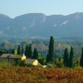 Couleurs Provence