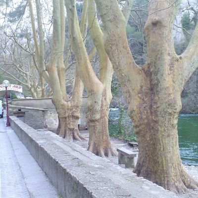 De retour chez vous!