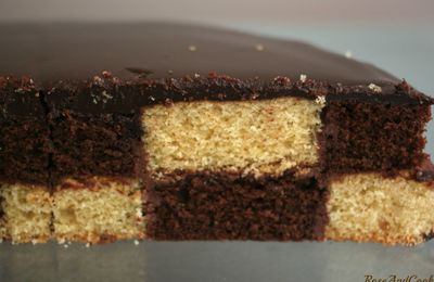 Le damier sans moule sans spécial, recette du gâteau au chocolat et du gâteau vanille