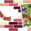 Dingo Architecte