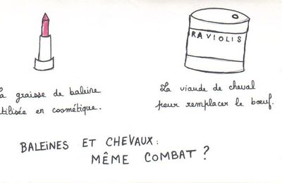 Février - Mars 2013 : Le scandale de la viande de cheval continue. 