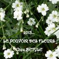 Le pouvoir des fleurs