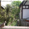 Le lavoir de Mesnil sous Vienne