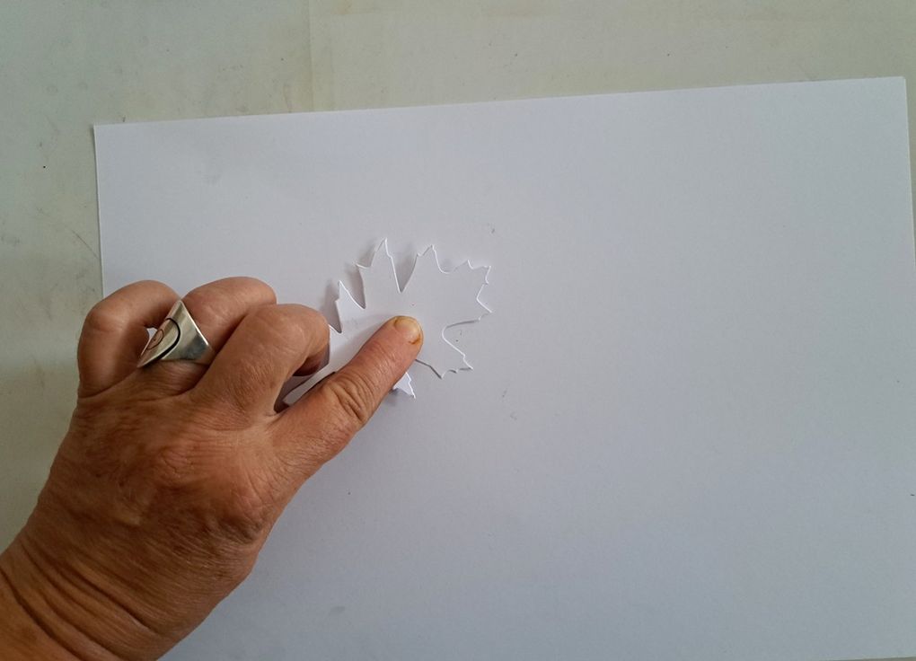 Avec différentes feuilles d'arbre, sans les déplacer