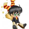 boite a explosion harry potter