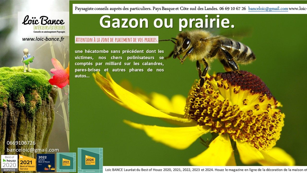 les polinisateurs se comptent sur les calandres de nos autos. Par paysagiste Pays Basque et Paysagiste Landes.