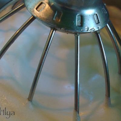 Petits "Motu" à la Vanille : les Iles Flottantes Polynésiennes