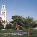 تدشين متحف المقاومة وجيش التحرير بمدينة القصر الكبير بمناسبة الذكرى 433 لمعركة وادي المخازن