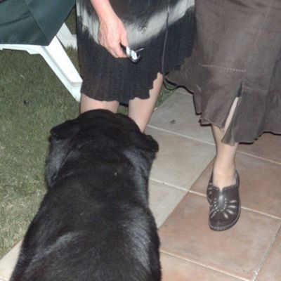 la soirée devait se terminer, quand tout à coup: