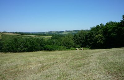 Il fait beau... Les foins ont commencé... Les tracteurs ronronnent dans la campagne...!