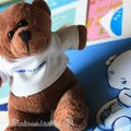 L'Hôpital des Nounours ou comment apprendre aux enfants à dédramatiser l'hôpital (Action Nationale de Santé Publique)