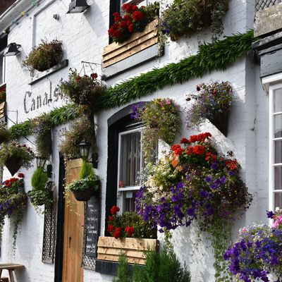 Série / roman / youtube : le Visiteur du futur