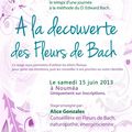 Stage Fleurs de Bach avec Alice Gonzales le samedi 15 juin, Nouméa