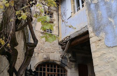 28/02/19 : Laissons les fenêtres ouvertes