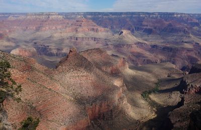 Jour 11 : FLAGSTAFF > GRAND CANYON > LAUGHLIN (430 KM)