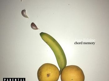Critique d'album :  "Chord Memory" - Jean Felzine, crooner singulier et frontal